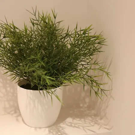 Apartman Maison Marie *